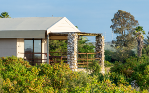 Thali Thali Glamping Unit